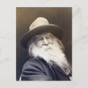 George C. Cox Walt Whitman Briefkaart