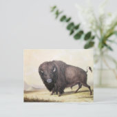 George Catlin - Bull Buffalo Briefkaart (Staand voorkant)