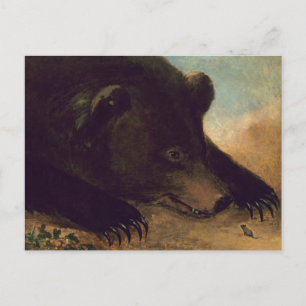 George Catlin - Grizzly Bear et carte postale