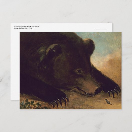 George Catlin - Grizzly Bear et carte postale (Devant / Derrière)