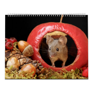 George de muis in een stapel huis 2021 kalender