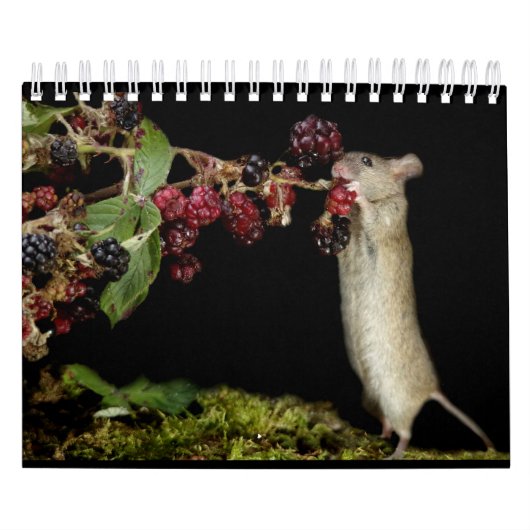 George de muis met zwarte achtergrond kalender (Hoes)