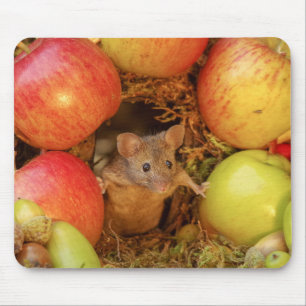 George le tapis de souris