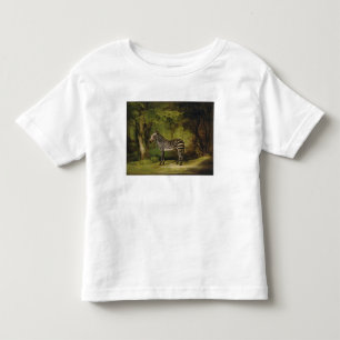 George Stubbs A Zebra, 1763 (olie op doek) Kinder Shirts