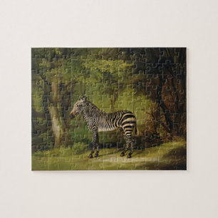 George Stubbs A Zebra, 1763 (olie op doek) Legpuzzel