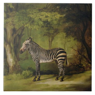 George Stubbs A Zebra, 1763 (olie op doek) Tegeltje