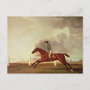 George Stubbs   Bay Malton met John Singleton Up, Briefkaart