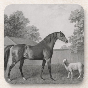 George Stubbs Dungannon, gegraveerd door George Drankjes Onderzetter