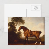 George Stubbs - Een Zaddled Bay Hunter Briefkaart (Voorkant / Achterkant)