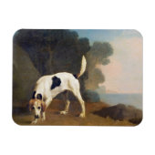 George Stubbs | Foxhound on the Scent, c.1760 (oli Magneet (Horizontaal)