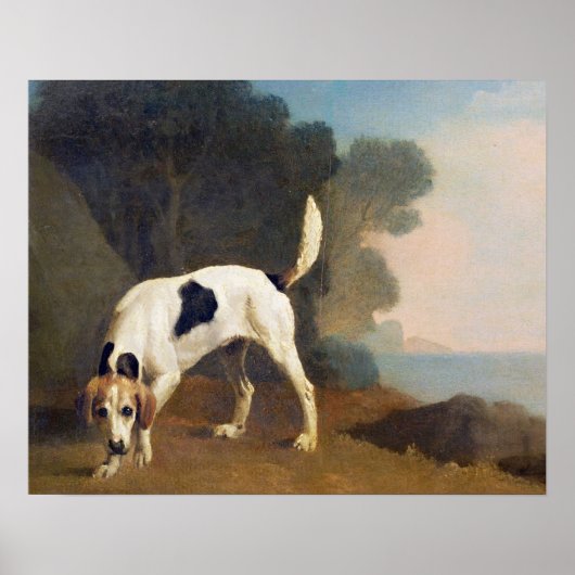 George Stubbs | Foxhound on the Scent, c.1760 (oli Poster (Voorkant)