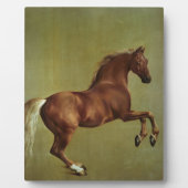 George Stubbs | Klokje, 1762 Fotoplaat (Voorkant)