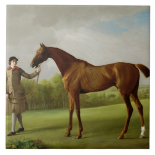 George Stubbs   Luster, gehouden door een Groom, c Tegeltje