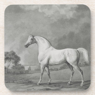 George Stubbs Mambrino, gegraveerd door George T Onderzetter
