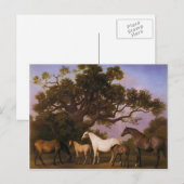 George Stubbs- Mares and Foals in een eikenboom Briefkaart (Voorkant / Achterkant)