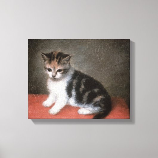 George Stubbs | Miss Ann White's Kitten, 1790 Canvas Afdruk (Voorkant)