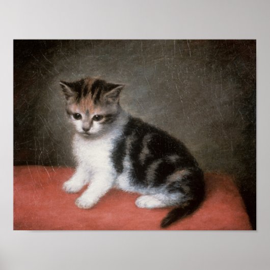 George Stubbs | Miss Ann White's Kitten, 1790 Poster (Voorkant)