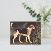 George Stubbs | Ringwood, a Brocklesby Foxhound, 1 Briefkaart (Staand voorkant)