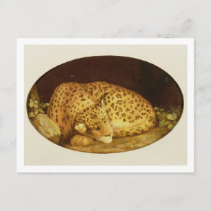 George Stubbs   Sleeping Leopard, 1777 (amel on Briefkaart