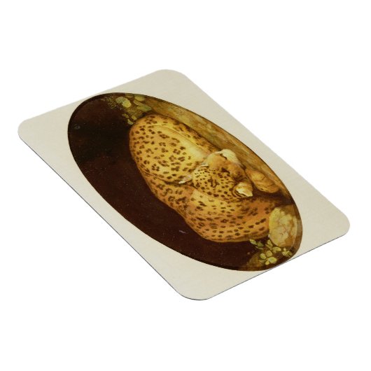 George Stubbs | Sleeping Leopard, 1777 (amel on Magneet (Rechterzijde)