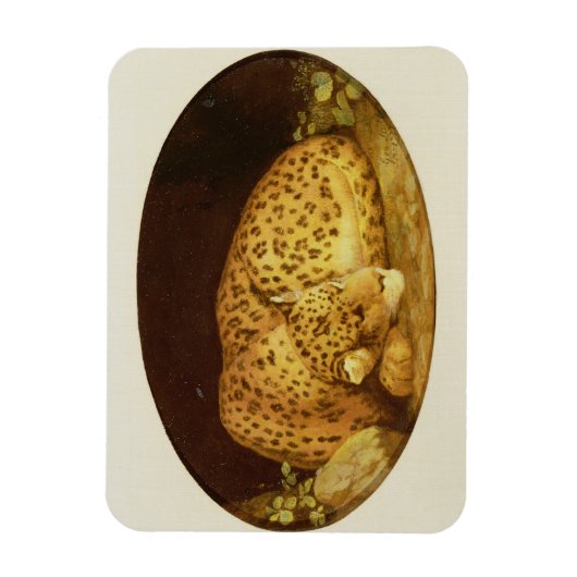 George Stubbs | Sleeping Leopard, 1777 (amel on Magneet (Verticaal)