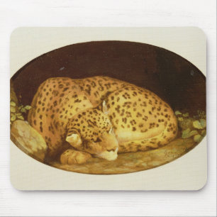 George Stubbs Sleeping Leopard, 1777 (amel on Muismat