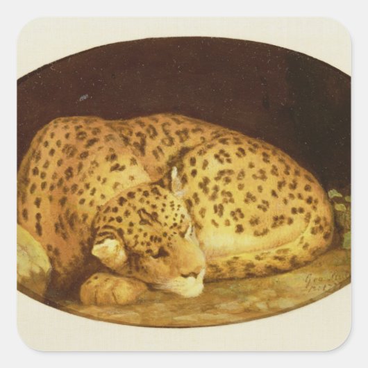 George Stubbs | Sleeping Leopard, 1777 (amel on Vierkante Sticker (Voorkant)
