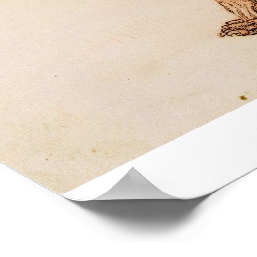 George Stubbs | tijger, lateraal Uitzicht, ontdaan Poster (Hoek)