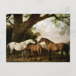 George Stubbs Two Shafto Mares and a Foal, 1774 Briefkaart