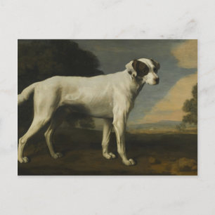 George Stubbs - Viscount Gormanston's White Dog Briefkaart