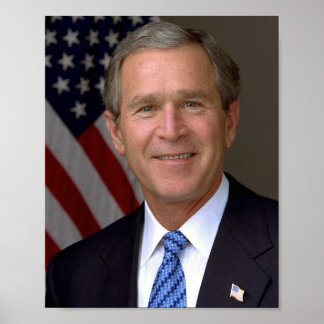 George W Struik Poster