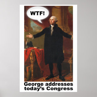 George Washington WTF (met onderschrift) Poster