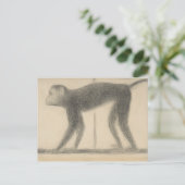 Georges Seurat - Monkey Briefkaart (Staand voorkant)