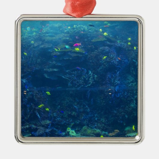 Georgia Aquarium Metalen Ornament (Voorkant)