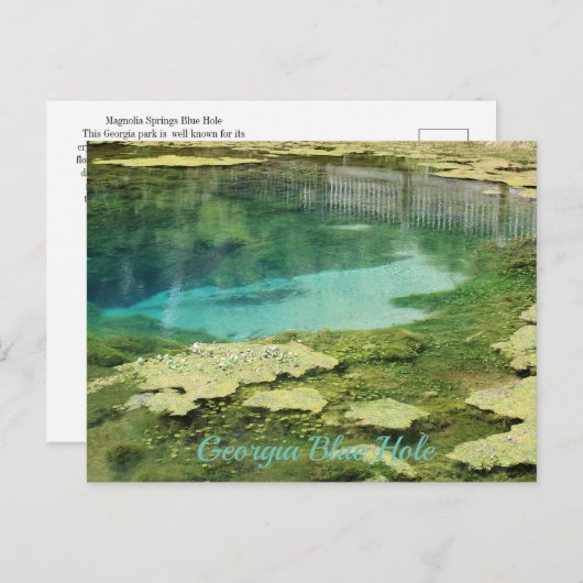 Georgia Blue Hole Briefkaart (Voorkant / Achterkant)
