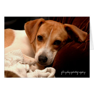 Georgia, glorydayfotografie