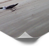 Georgia Lighthouse Poster (Hoek)