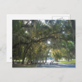 Georgia Moss Briefkaart (Voorkant / Achterkant)