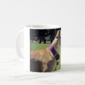 Georgia Pit Bull Mok (Voorkant links)