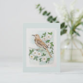 Georgia state bird and flower  briefkaart (Staand voorkant)