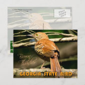 Georgia State Bird - Brown Thrasher Briefkaart (Voorkant / Achterkant)