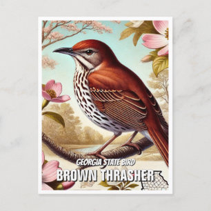 Georgia State Bird Brown Thrasher Briefkaart