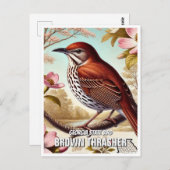Georgia State Bird Brown Thrasher Briefkaart (Voorkant / Achterkant)