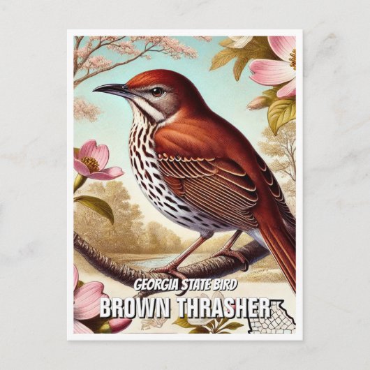 Georgia State Bird Brown Thrasher Briefkaart (Voorkant)