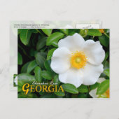 Georgia State Flower: Cherokee Roos Briefkaart (Voorkant / Achterkant)