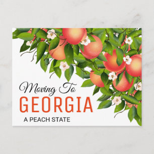 Georgia State Fruit Peaches Adres wijzigen Briefkaart