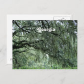 Georgia Trees Briefkaart (Voorkant / Achterkant)