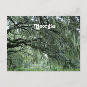 Georgia Trees Briefkaart