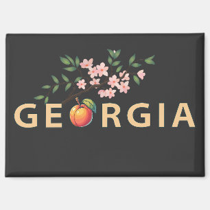 Georgia Verenigde Staten van Amerika Magneet