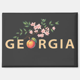 Georgia Verenigde Staten van Amerika Magneet